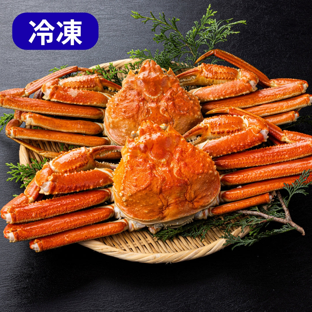 【数量限定】ボイルズワイ姿 2尾