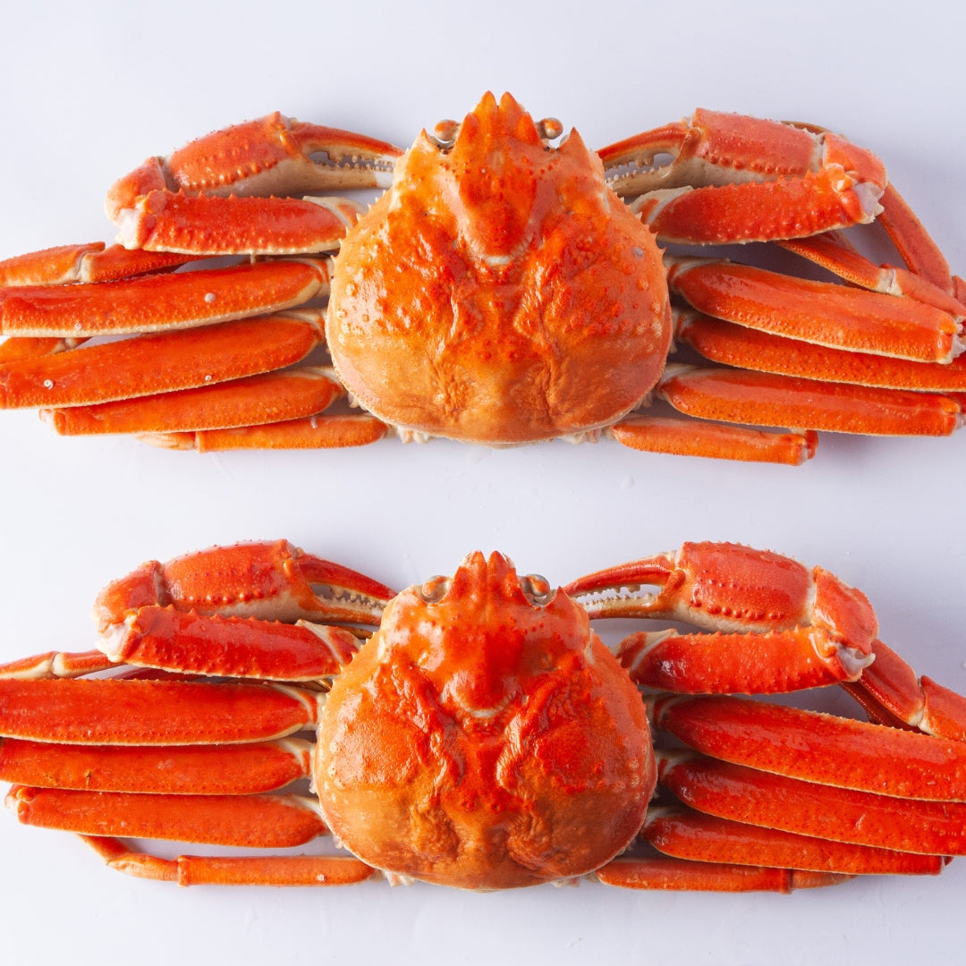 【数量限定】ボイルズワイ姿 2尾